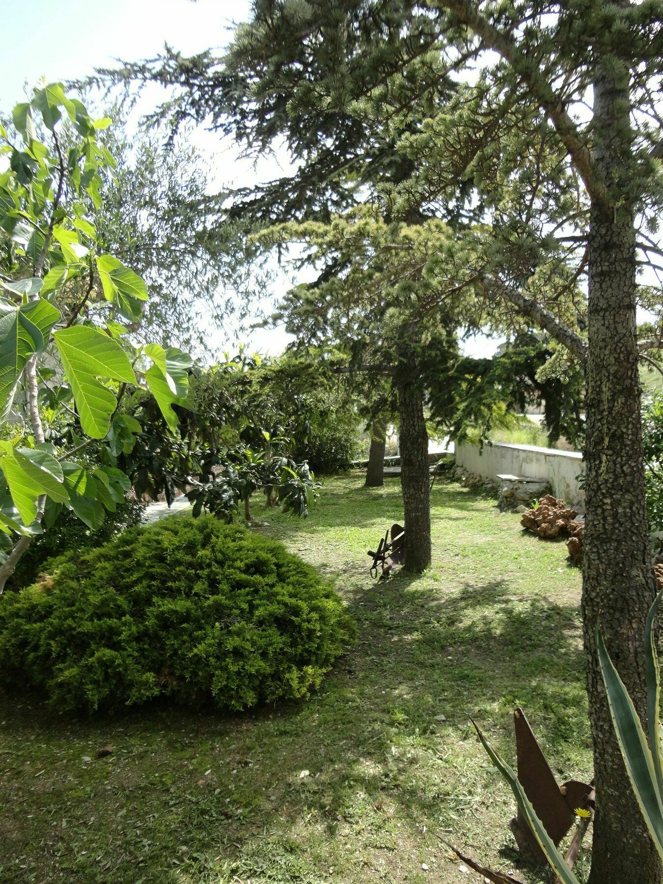 Residence Palomba Матера Екстер'єр фото